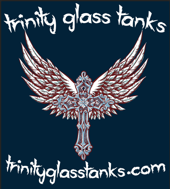 Trinity Glass Tanks